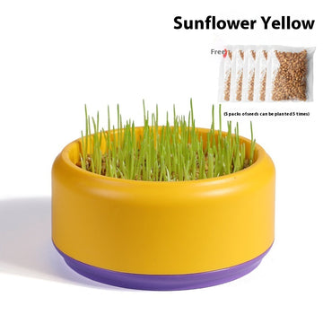 Fast-Growing Soilless Hydroponic Cat Grass Kit with Seeds and Pot – features