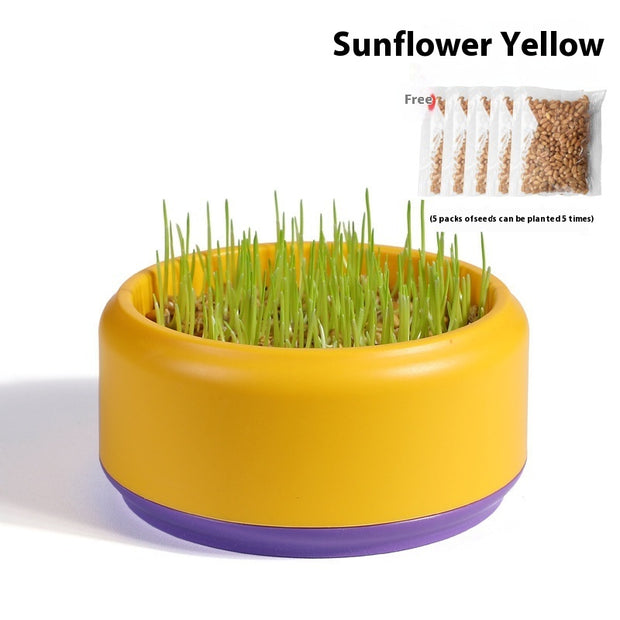 Fast-Growing Soilless Hydroponic Cat Grass Kit with Seeds and Pot – features