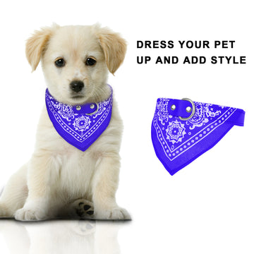 Adjustable Bandana Pet Collar – Triangle Scarf for Cats & Dogs – lifestyle photo