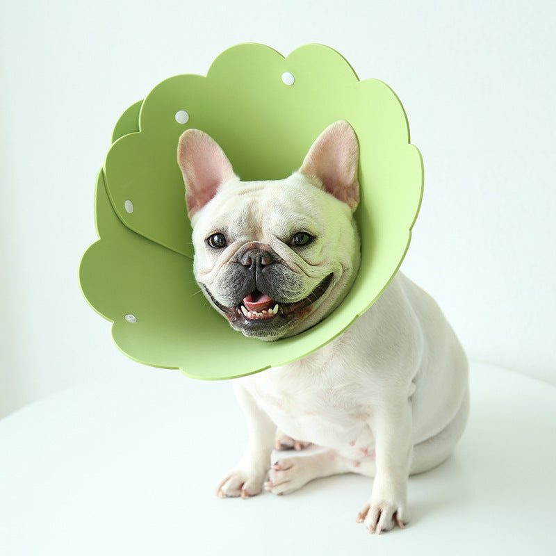Sunflower-Shape EVA Anti-Licking Collar, for dogs.