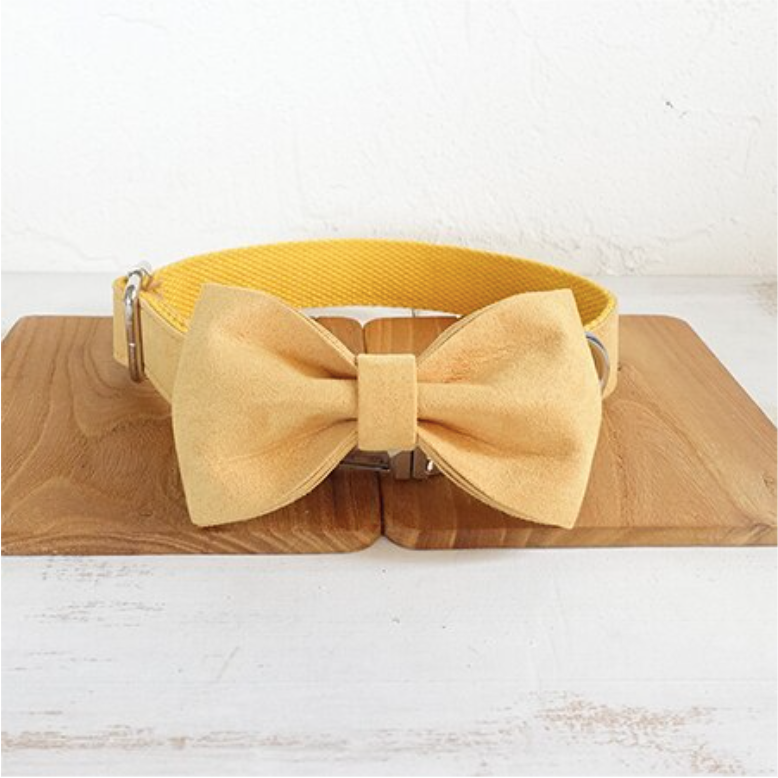 Yellow Polyester Dog Collar with Optional Bow, for dogs.