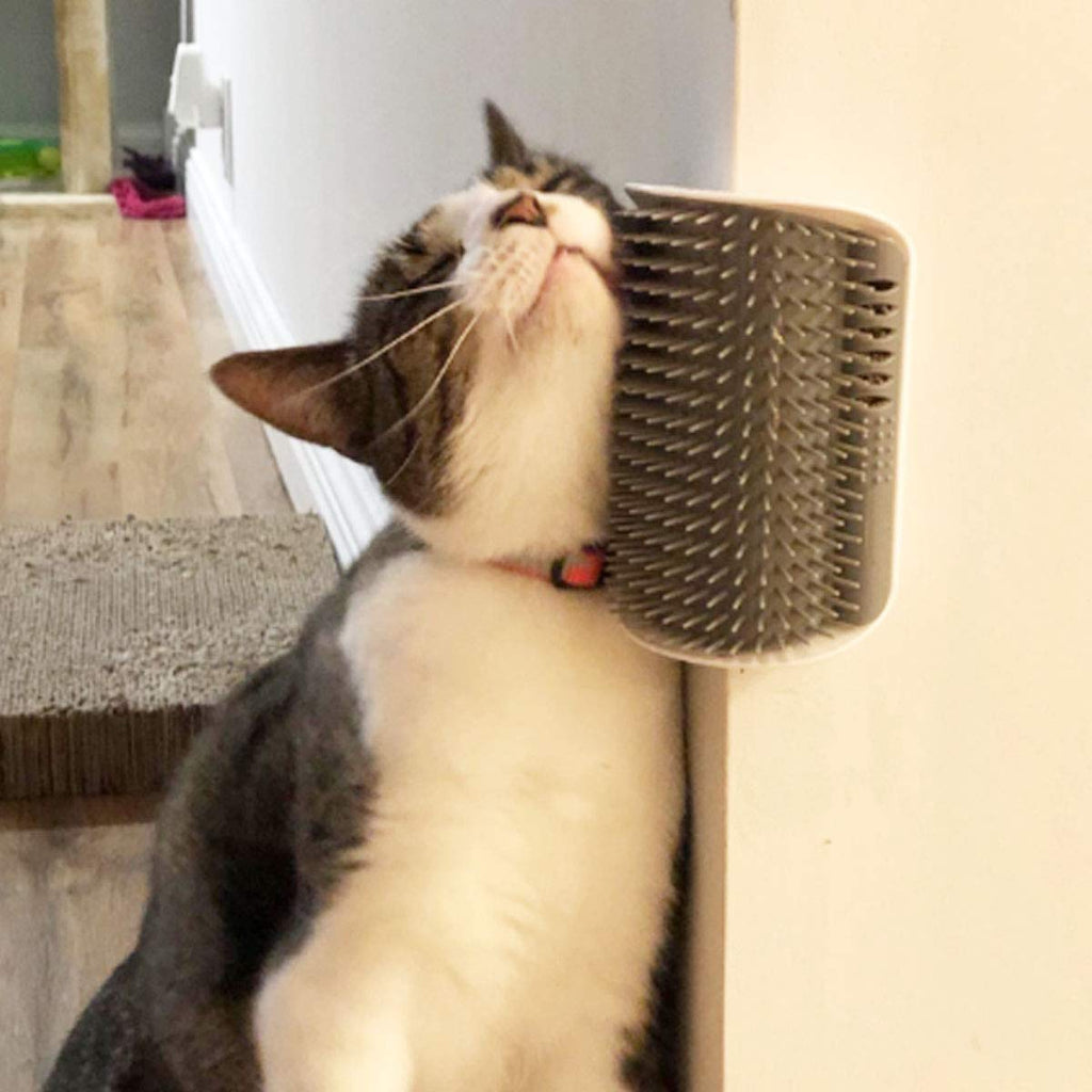 Wall-Mount Self-Grooming Corner Arch, for cats.