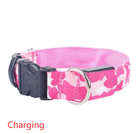 Light-Up Camouflage Dog Collar for Night Walks, for dogs.