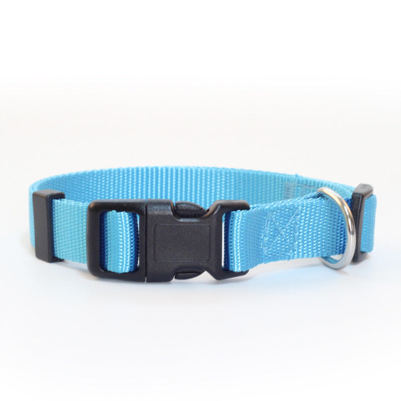 Nylon Dog Collar in Five Fixed Sizes, XS to XL, for dogs.