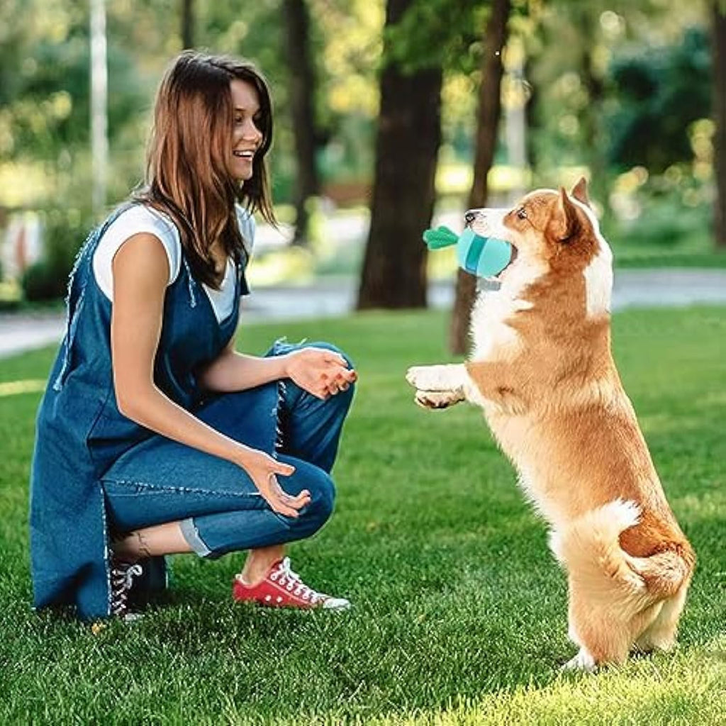 Treat-Dispensing Puzzle Ball for Medium and Large Dogs