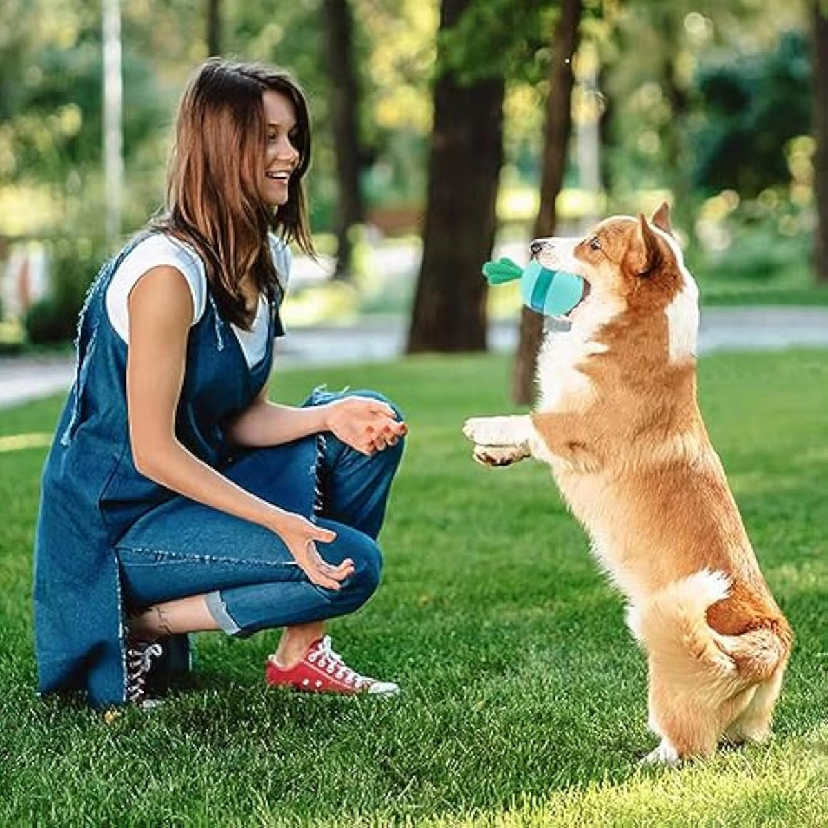 Treat-Dispensing Puzzle Ball for Medium and Large Dogs