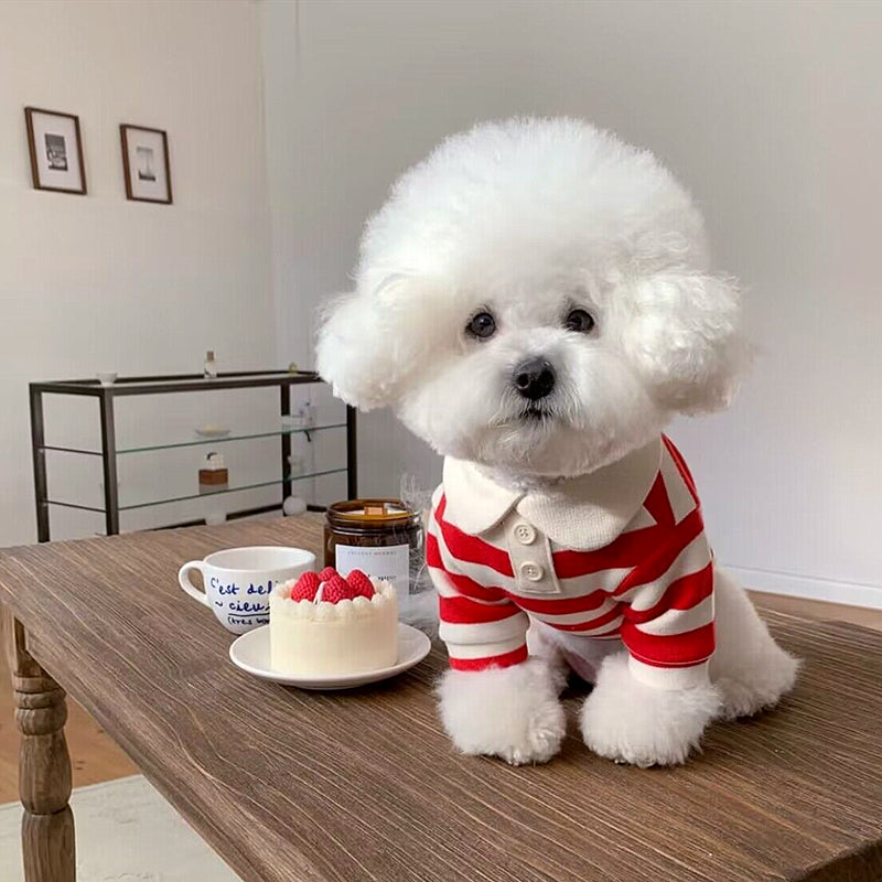 Simple Pull-On Clothing, for dogs and cats.