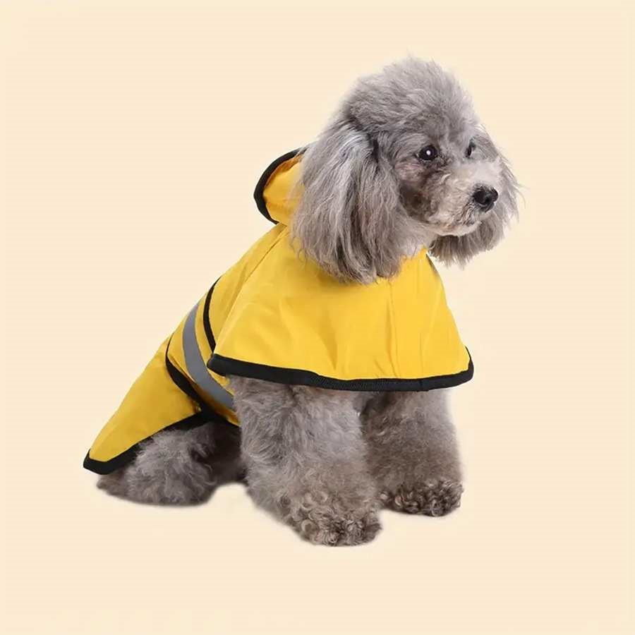 Reflective Poncho-Style Raincoat, for dogs.
