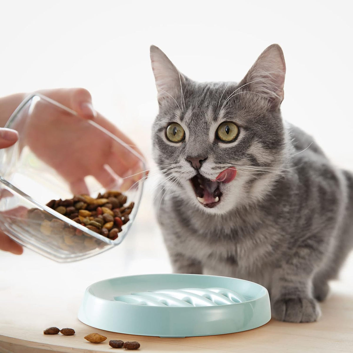 Fishbone-Shaped Anti-Gulping Slow Feeder Bowl, for cats.