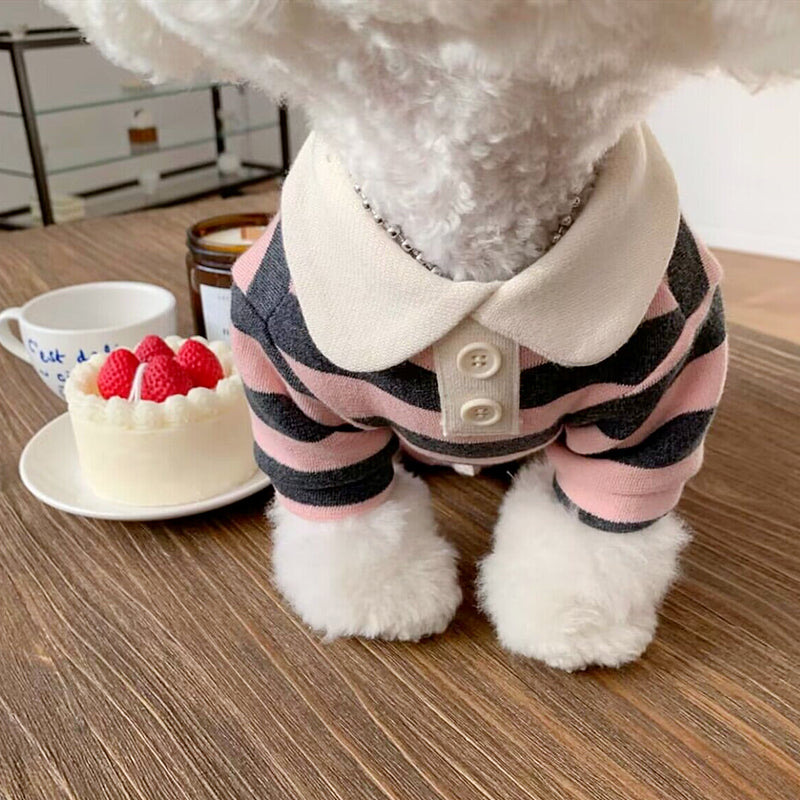 Simple Pull-On Clothing, for dogs and cats.