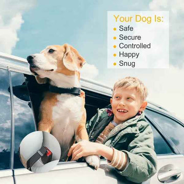 Adjustable 2-Pack Dog Safety Seat Belt Leash for Secure Car Travel – lifestyle photo
