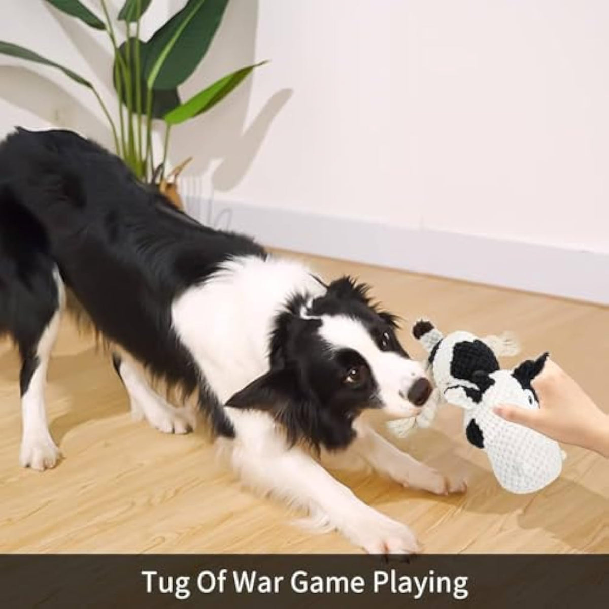 Plush Cow Dog Toy with Squeaker and Crinkle Ears, for dogs.