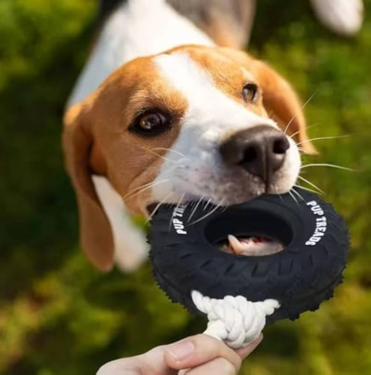 Durable Treat-Dispensing Chew Toy for Large Dogs