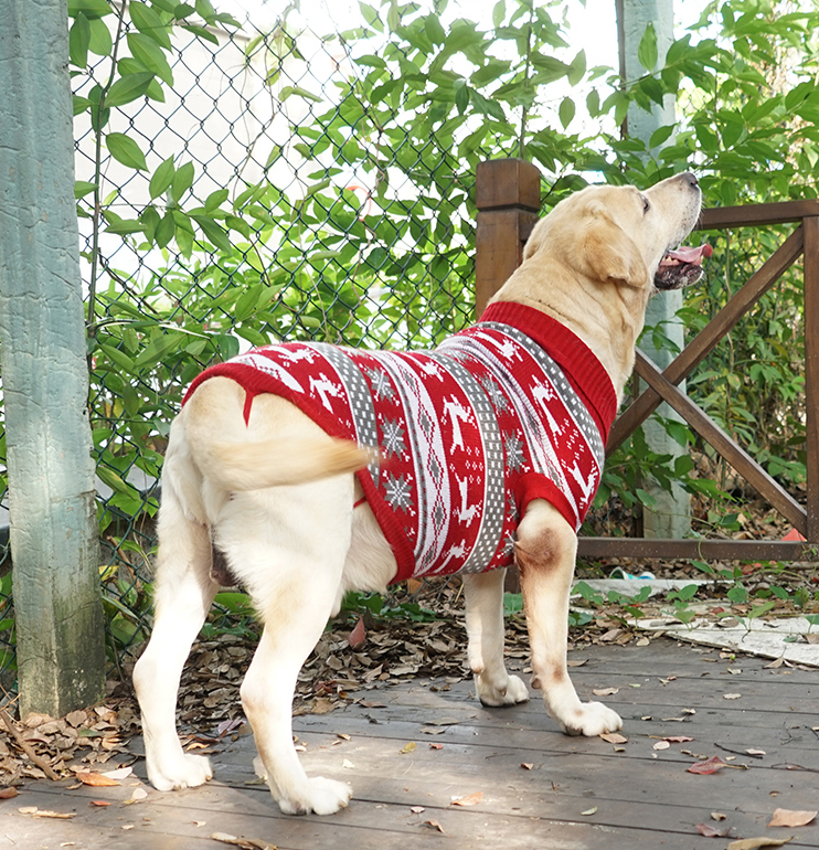 Warm Cotton-Style Sweater, for dogs.