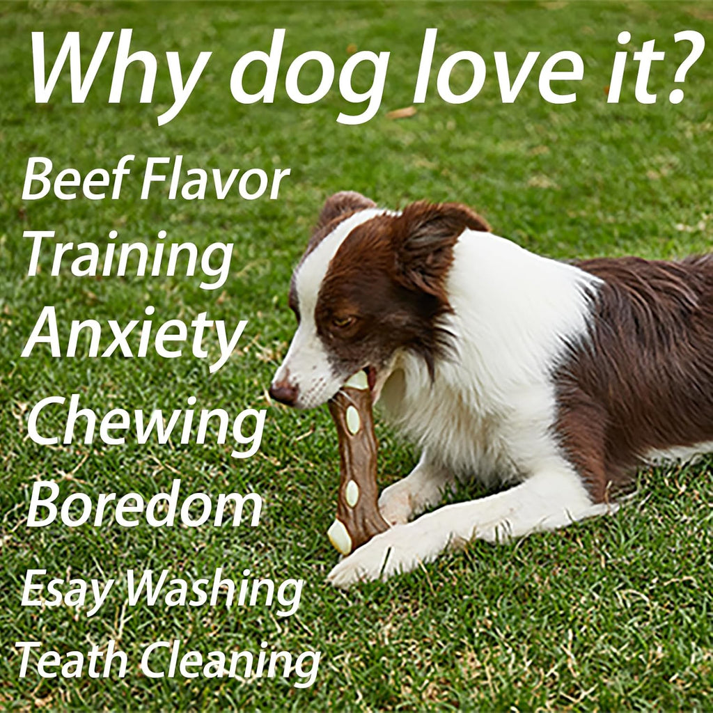 Nylon Chew Bone for Aggressive Dog Chewers, Beef Flavor, for dogs.