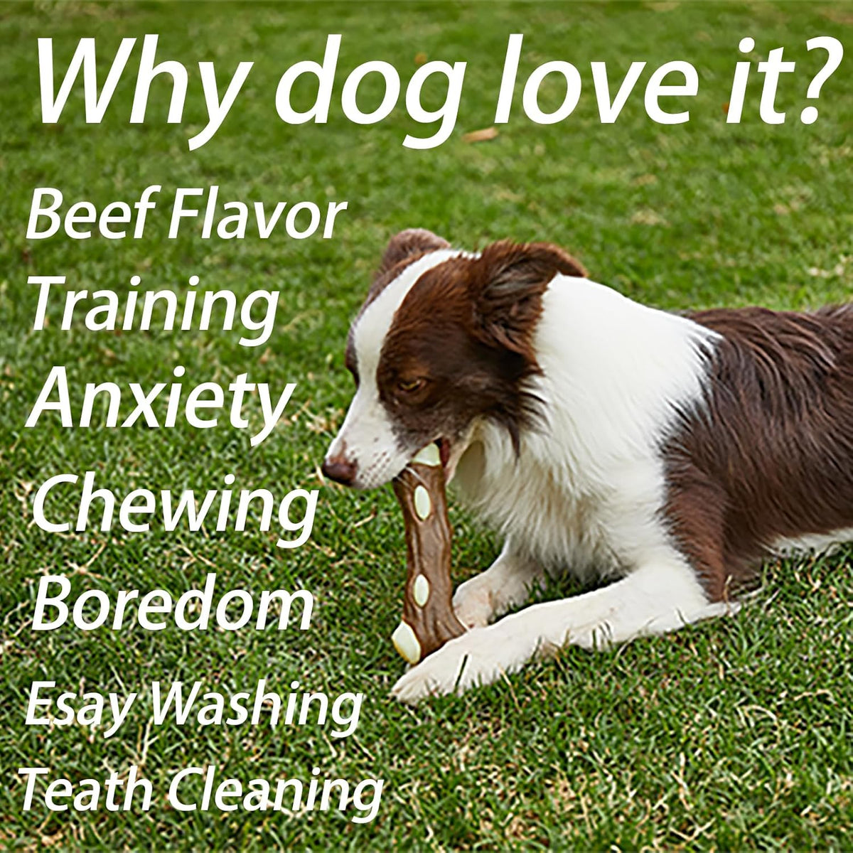 Nylon Chew Bone for Aggressive Dog Chewers, Beef Flavor, for dogs.