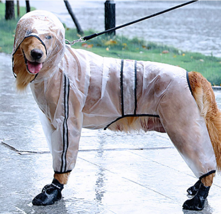Transparent Raincoat, for dogs.