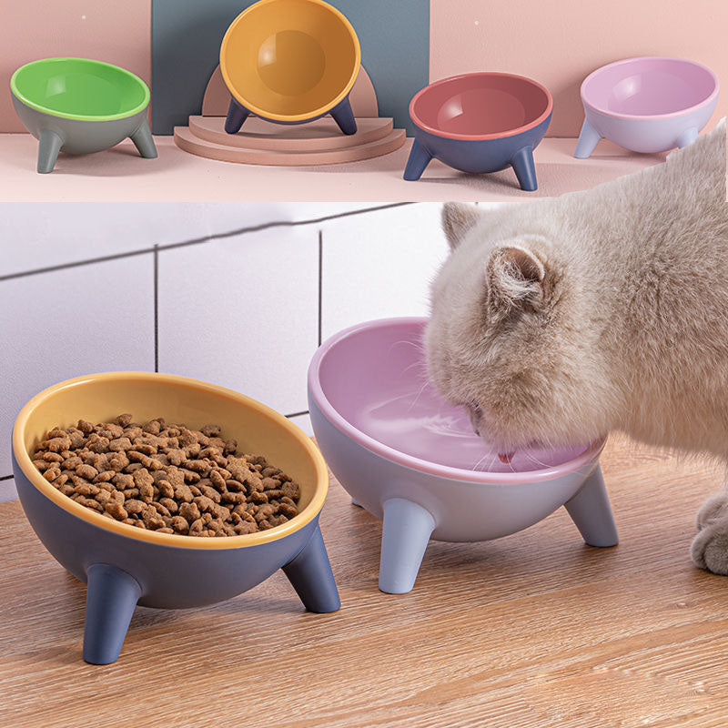 Elevated Tilted Pet Bowl with Stand for Dogs and Cats