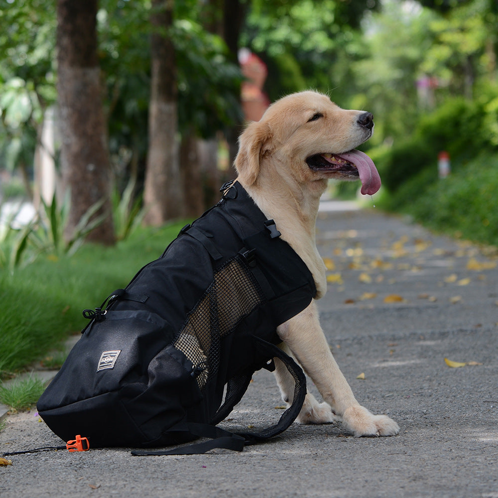 Ventilated Pet Travel Backpack with Safety Buckle