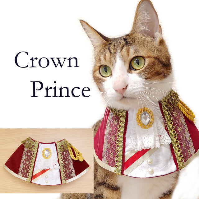 Costume Bib Collar, for cats.