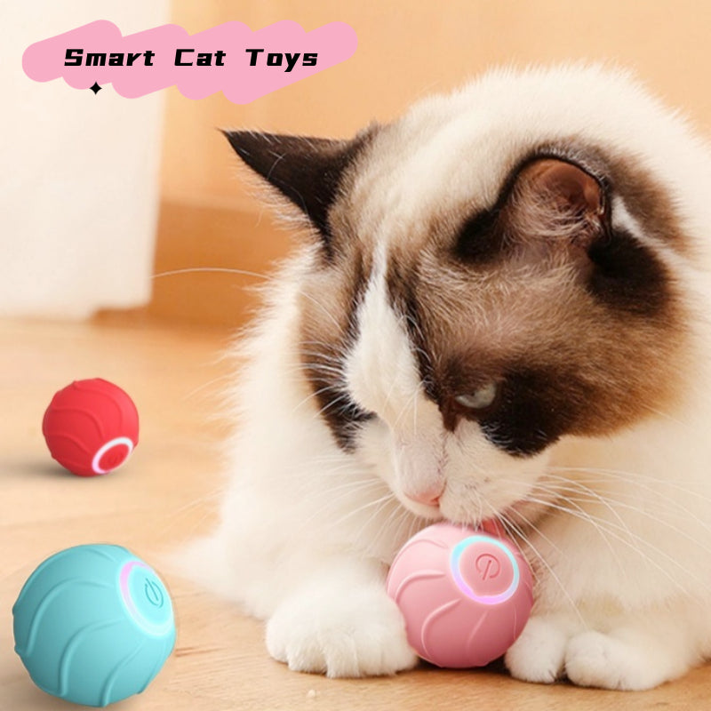 Automatic Bouncing Ball Toy for Cats and Kittens
