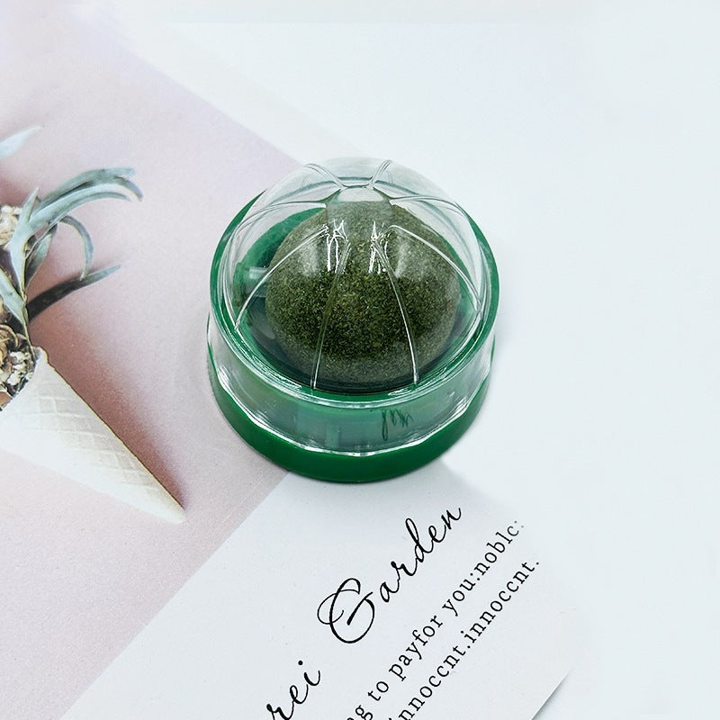 Kindopet™ Cat Teasing Ball & Molar Rod – Interactive Self-Play Toy for Stress Relief