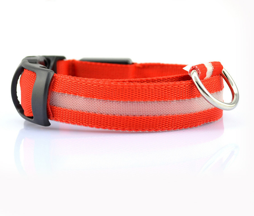 LED Glow-in-the-Dark Collar, for dogs and cats.