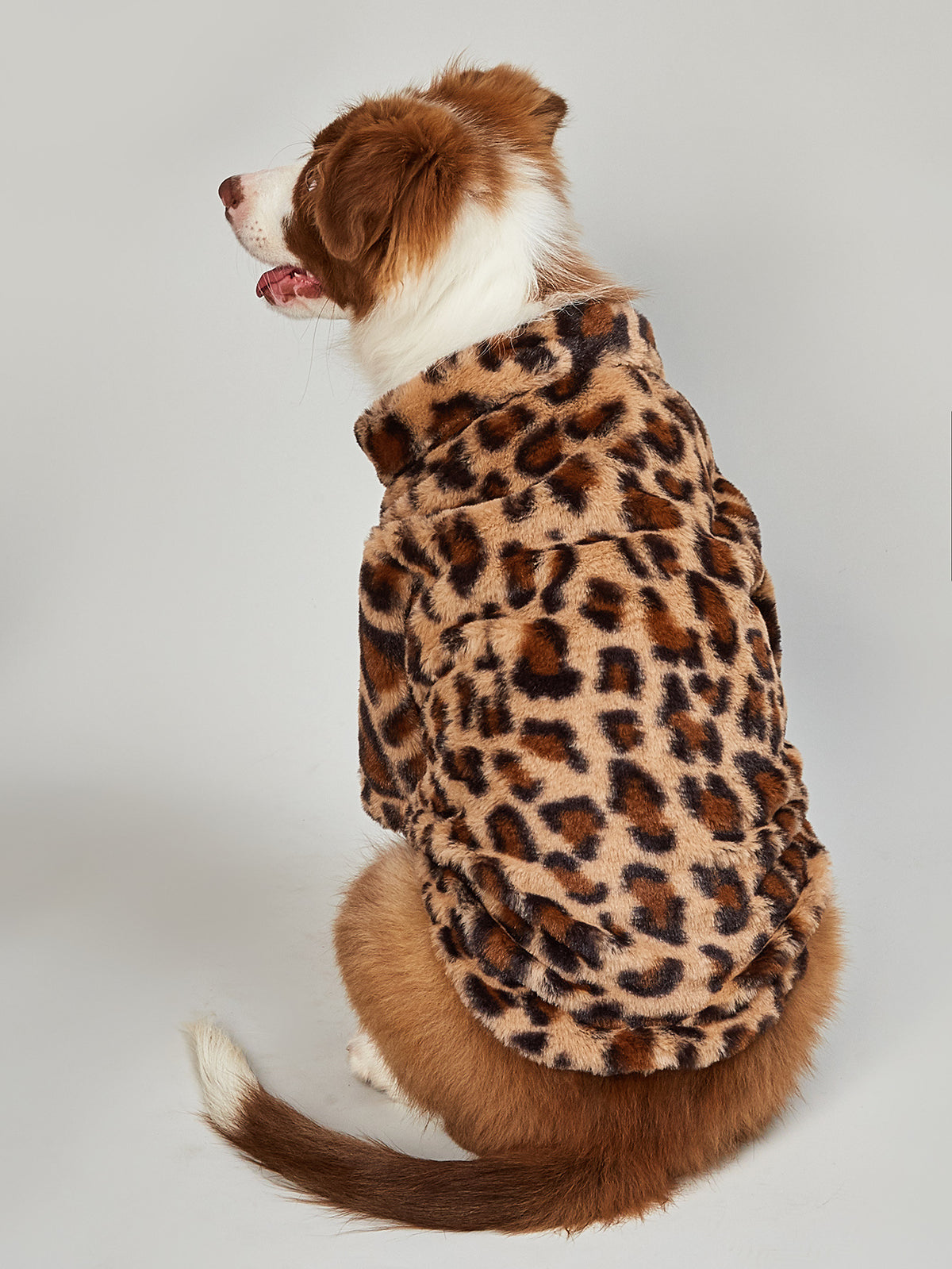 Warm Leopard-Print Acrylic Jacket, for dogs.