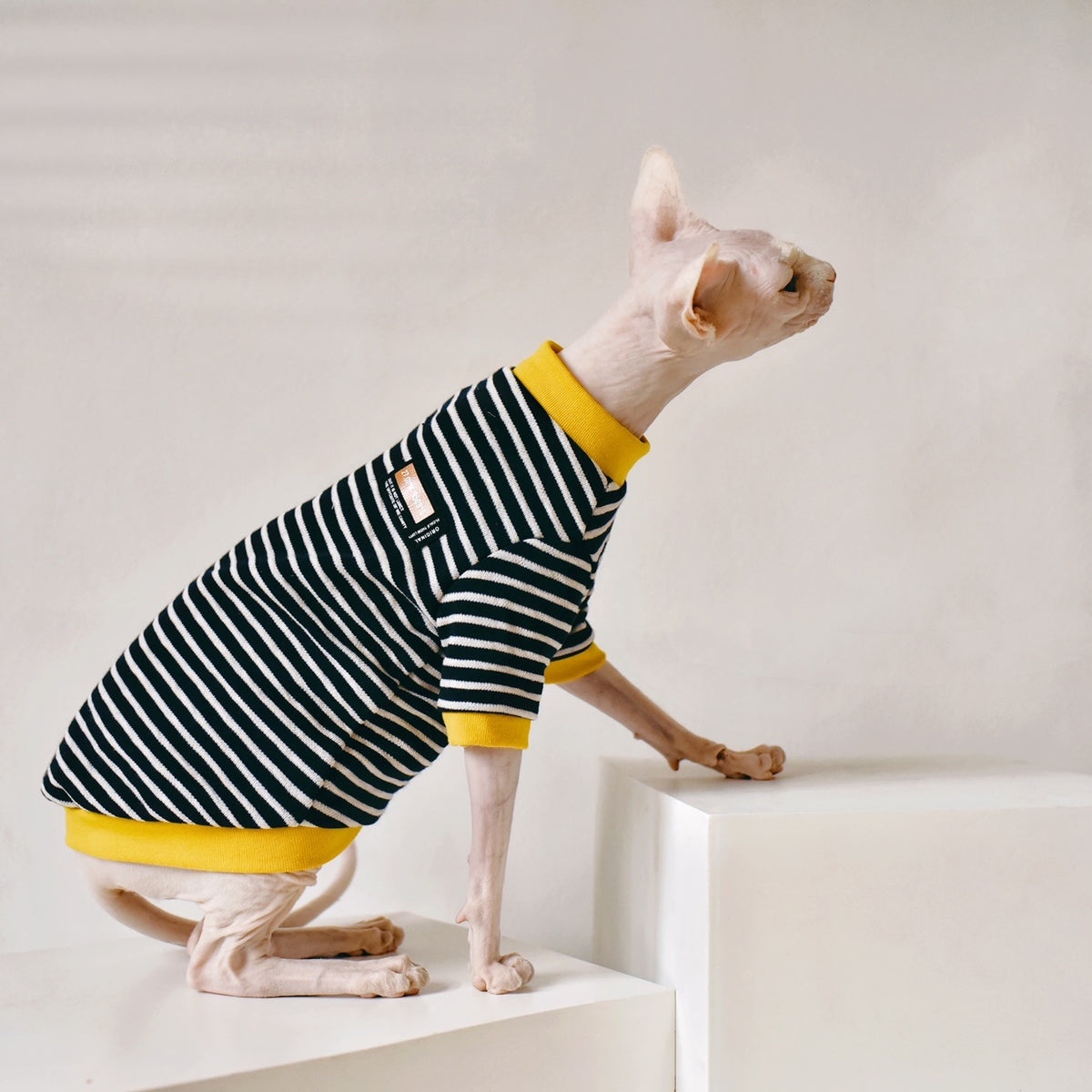 Cotton Warmth Sweater for Sphynx and Hairless Cats, for cats.