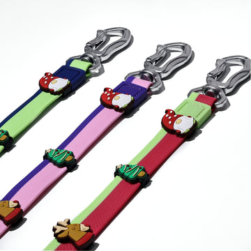 Dual-Color Embossed Dog Leash & Collar Set – Fashion Walking Set – in use