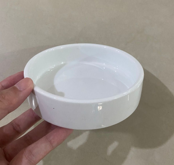 Ceramic Double Cat Bowl Set for Food and Water, for cats.