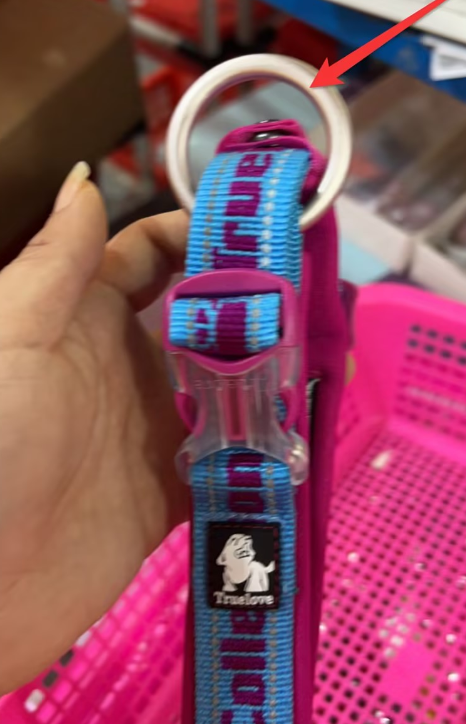 Nylon Training Harness Collar, for dogs.