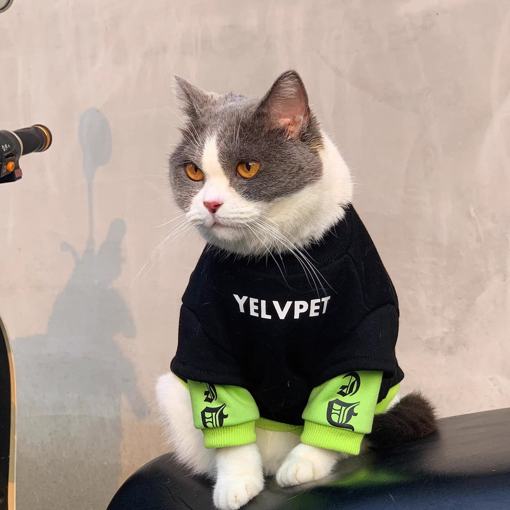 Black Panel Polyester Sweater, for dogs and cats.