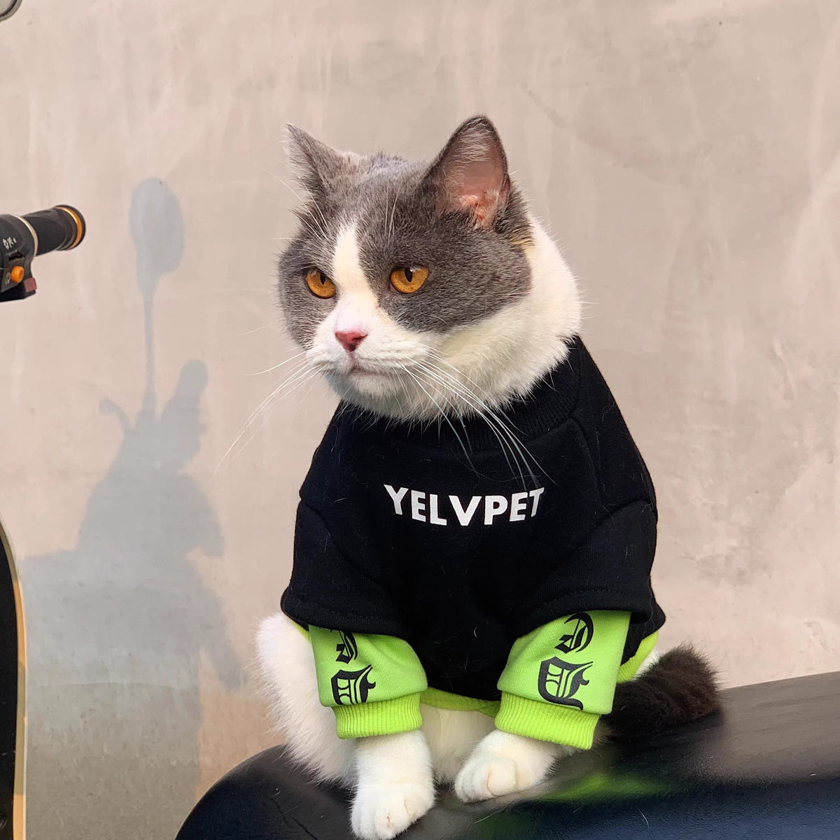 Black Panel Polyester Sweater, for dogs and cats.