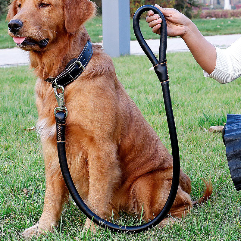 PU Leather Collar and Leash Set, for dogs.