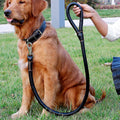PU Leather Collar and Leash Set, for dogs.