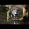 High-Neck Two-Leg Fleece Coat, for dogs.