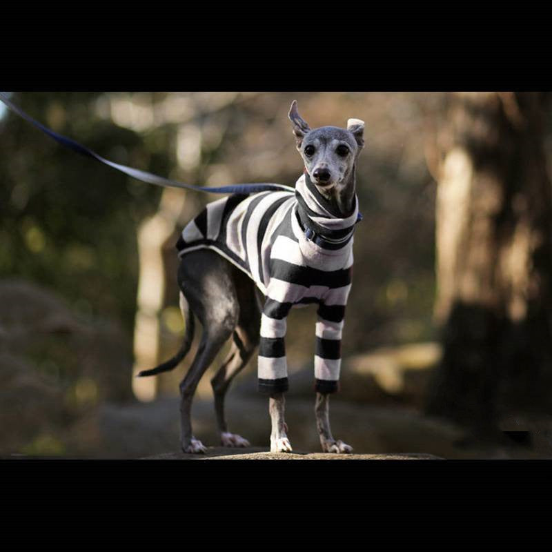 High-Neck Two-Leg Fleece Coat, for dogs.