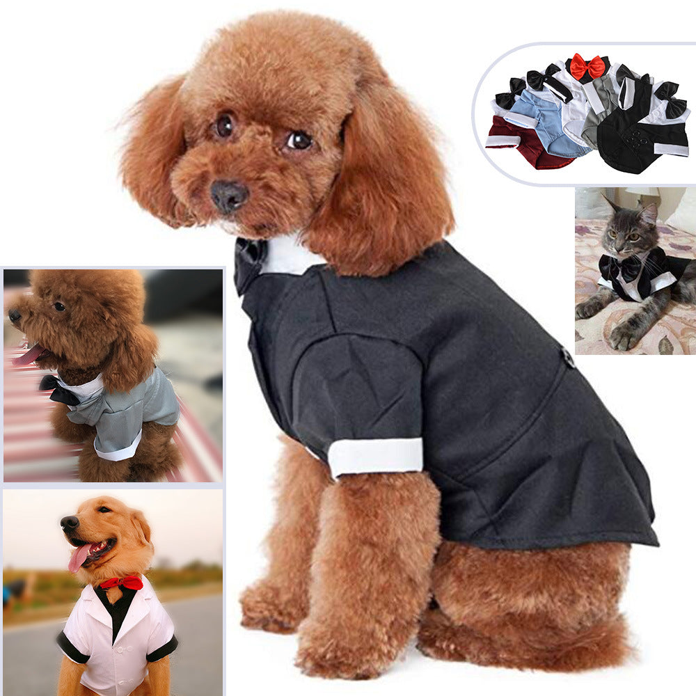 British-Style Dress Suit with Bow Tie, for dogs.