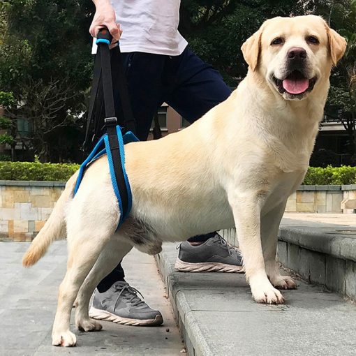 Rear Leg Support Harness Belt, for dogs.