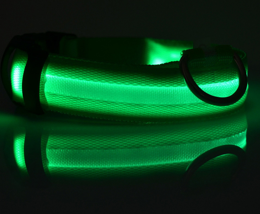 LED Glow-in-the-Dark Collar, for dogs and cats.