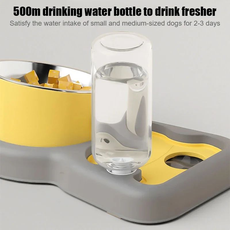 2-in-1 Tilted Feeding Bowl and Water Bottle Set