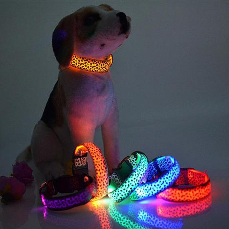 Rechargeable LED Safety Collar, for dogs.