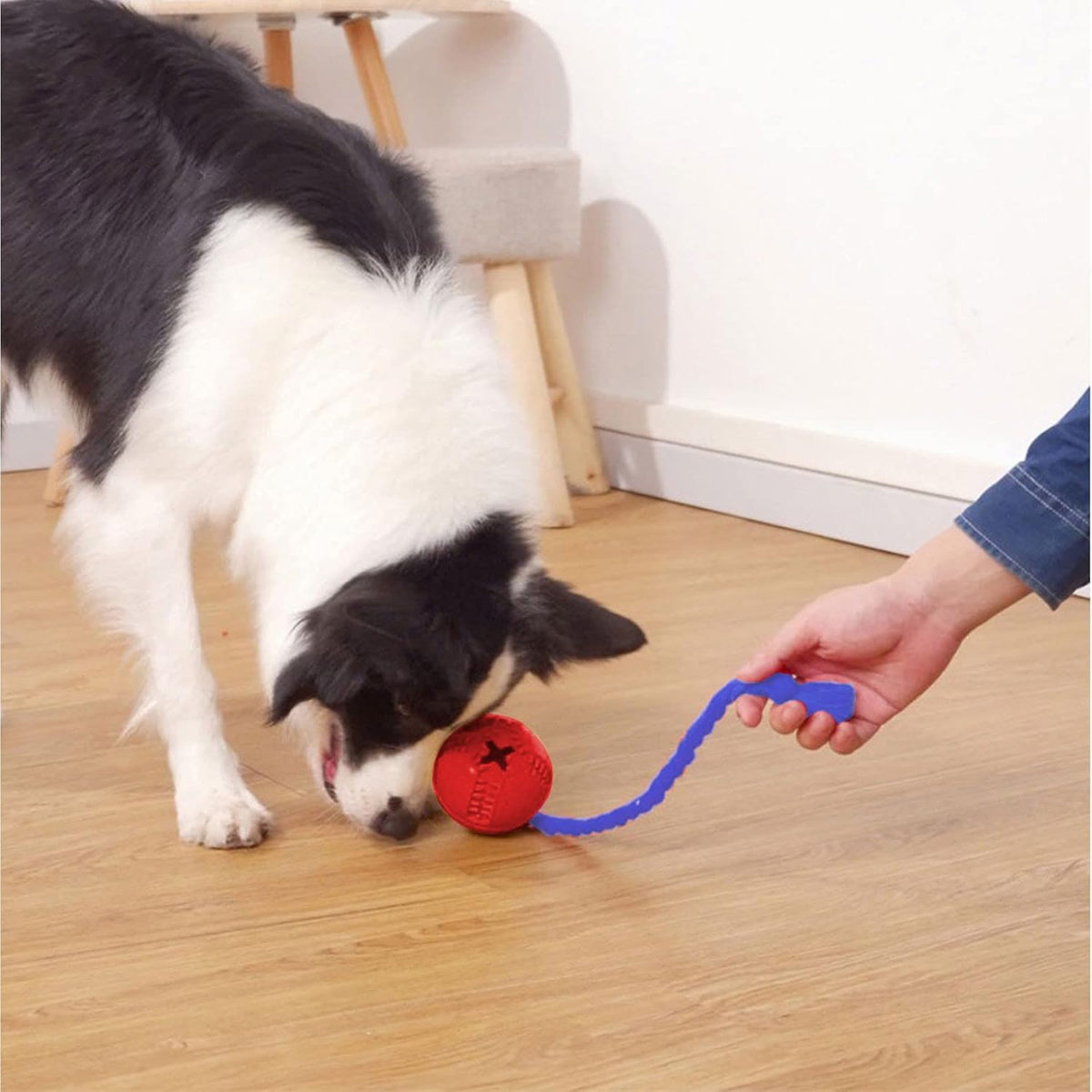 Rubber Treat Dispenser Toy with Rope, Connects to Crate, for dogs.