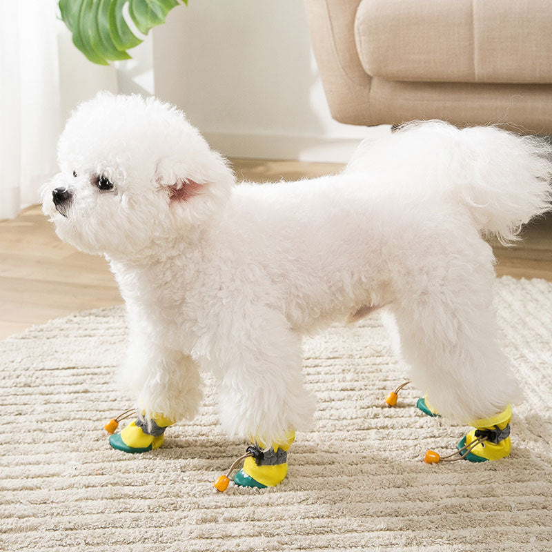 Soft-Sole Crocodile Shoes, for cats.