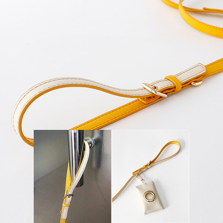 Leather Traction Leash, for dogs.