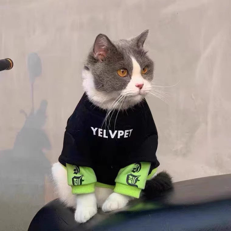 Black Panel Polyester Sweater, for dogs and cats.