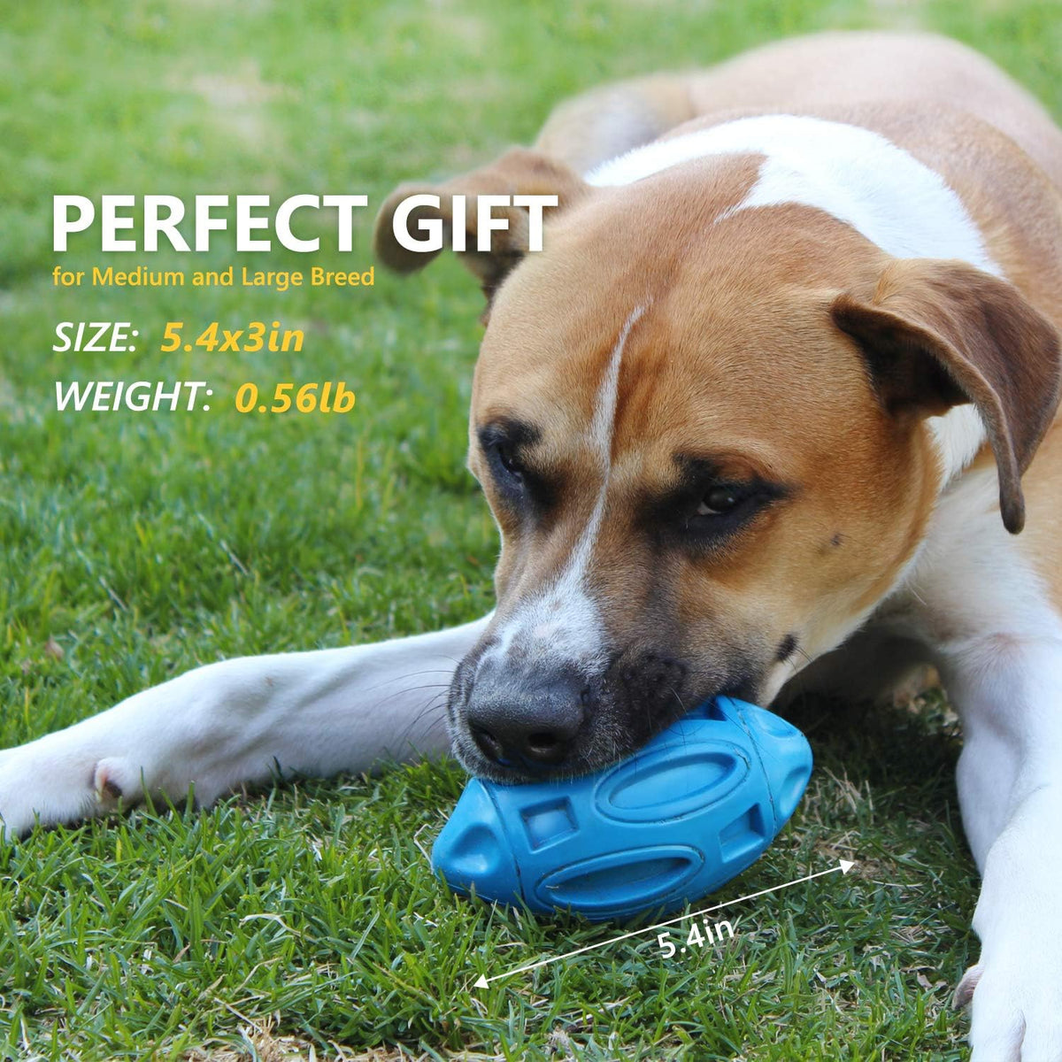 Squeaky Rubber Chew Ball for Medium and Large Dogs, for dogs.