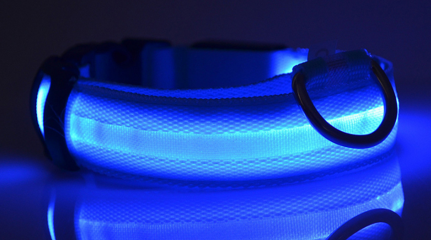 LED Glow-in-the-Dark Collar, for dogs and cats.
