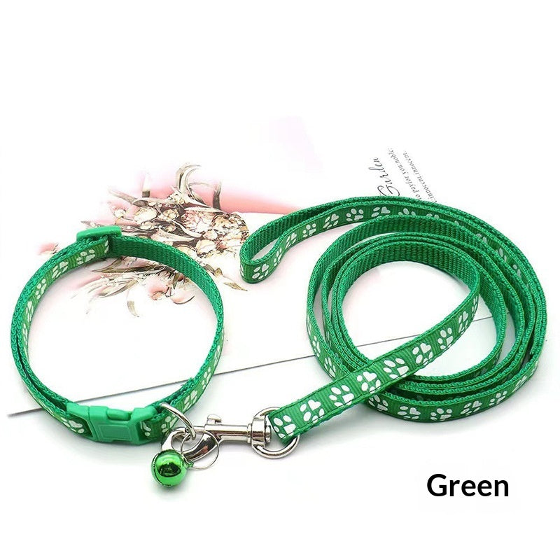 Lightweight Nylon Leash, for dogs and cats.